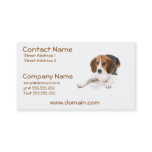 Beagle Dog Business Card