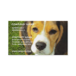 Beagle Dog Business Card