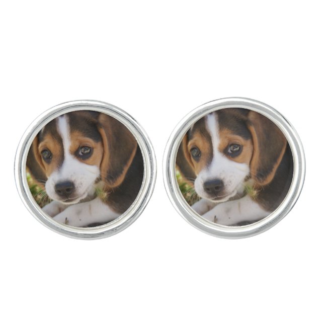 Beagle Dog Cufflinks (Front)