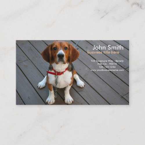Beagle Dog Design business card