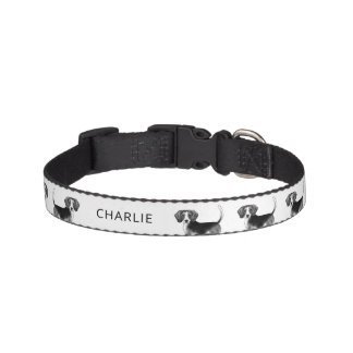 Beagle Dog Design In Black And White With Name Pet Collar