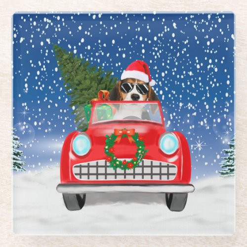 Beagle Dog Driving Car In Snow Christmas Glass Coaster
