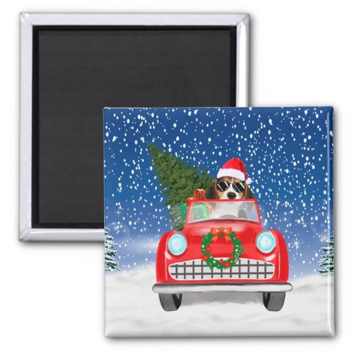 Beagle Dog Driving Car In Snow Christmas  Magnet