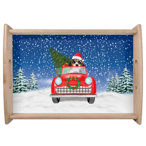 Beagle Dog Driving Car In Snow Christmas  Serving Tray