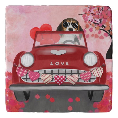 Beagle Dog Driving Car with Hearts Valentines  Trivet