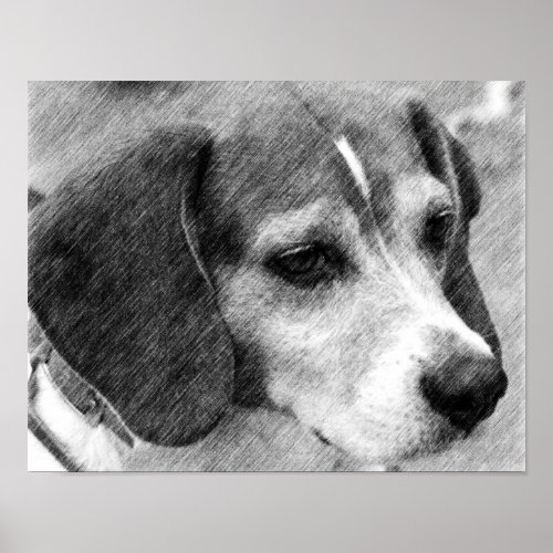 Beagle Dog Face Pencil Art 2 Poster