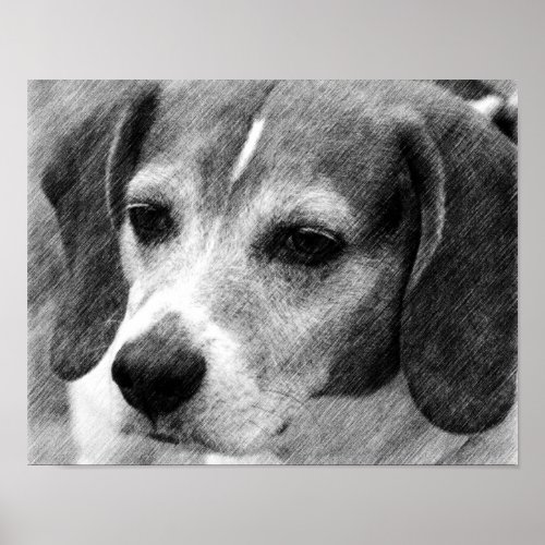 Beagle Dog Face Pencil Art Poster
