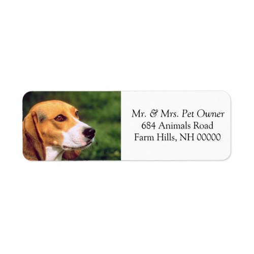 Beagle Dog Face Return Address Mailing Stickers