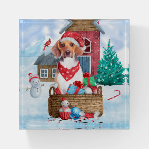Beagle Dog In snow Christmas Dog House Paperweight