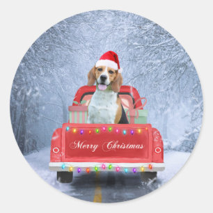 Beagle Dog in Snow sitting in Christmas Truck Classic Round Sticker