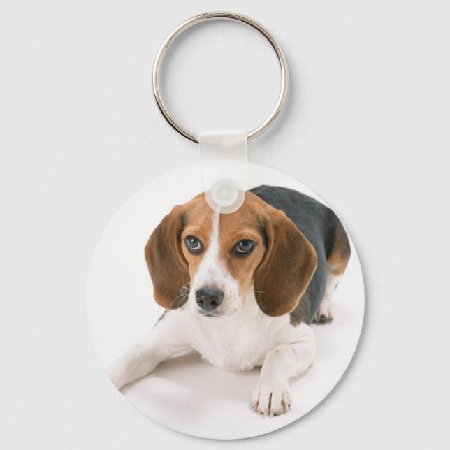 Beagle Dog Keychain (Front)
