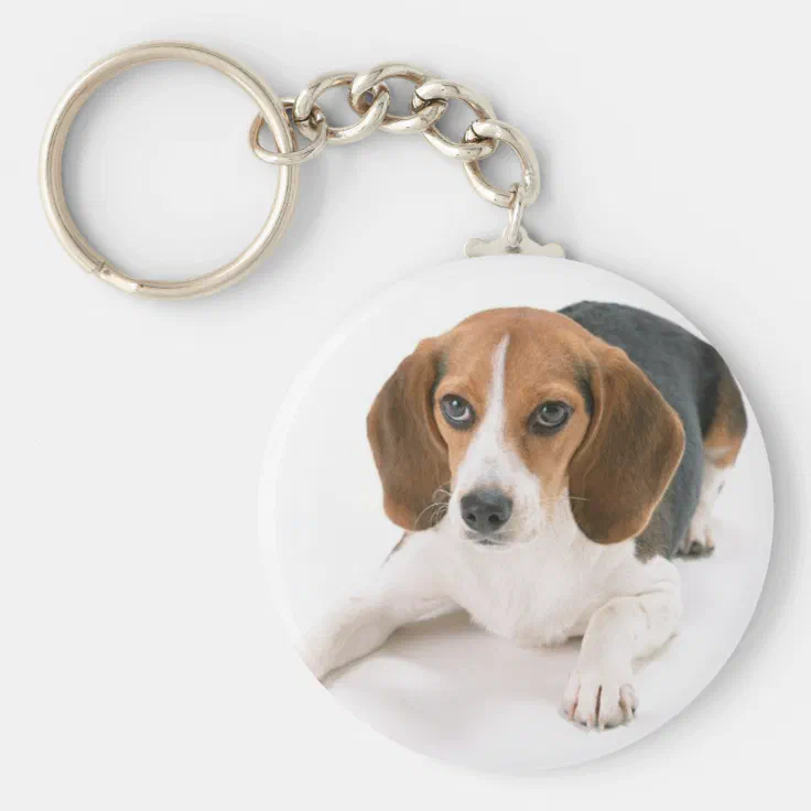 Beagle Dog Keyring Keyfob 'I May Not Be Perfect But...' Fun Novelty Gift Idea 