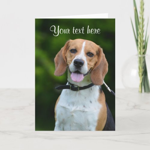 Beagle dog lover cute custom text greeting card