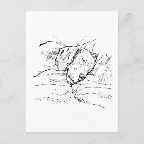 Beagle Dog Lover Illustration  Postcard
