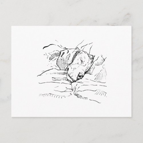 Beagle Dog Lover Illustration  Postcard