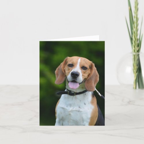 Beagle dog lovers blank write card