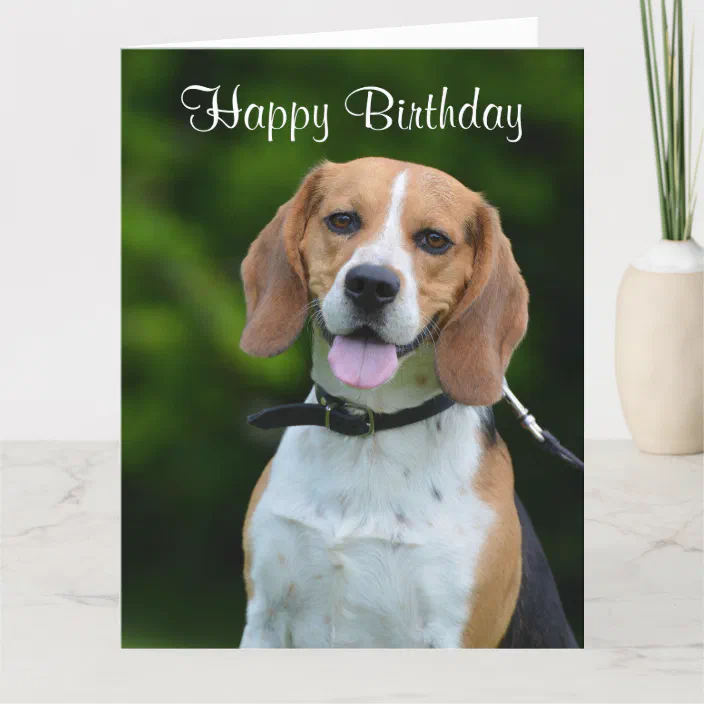 Beagle lovers Beagle BOOTS Animal lovers Custom Picture Women Boots
