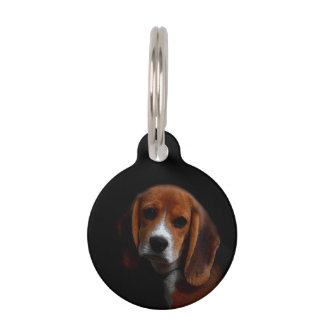 Beagle Dog Medallion Pet ID Tag