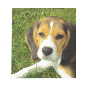 Beagle Dog Pet Animals Peace Love Notepad