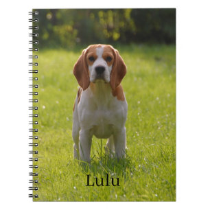 Beagle Dog Photo and Name Personalized Notebook