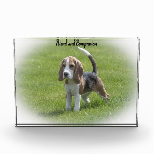 Beagle Dog Photo Block