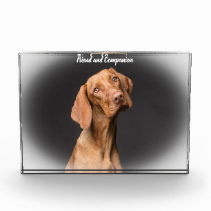 Beagle Dog Photo Block