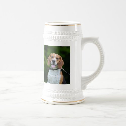 Beagle dog photo portrait beautiful stein