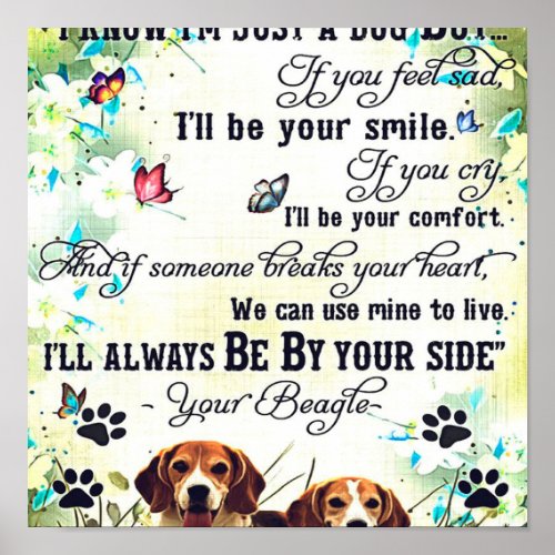 Beagle dog pictures  Pet wall decor