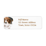 Beagle Dog Return Address Mailing Label