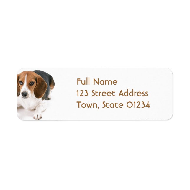Beagle Dog Return Address Mailing Label (Front)