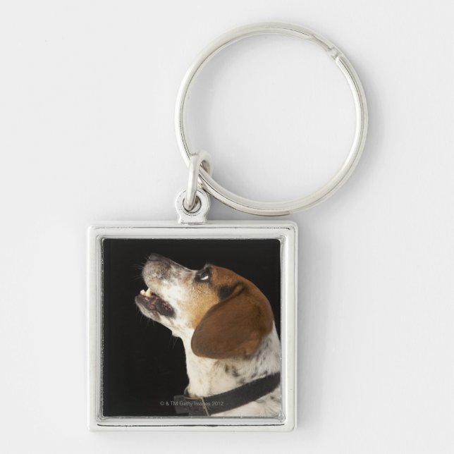 Beagle dog with black collar profile keychain (Front)