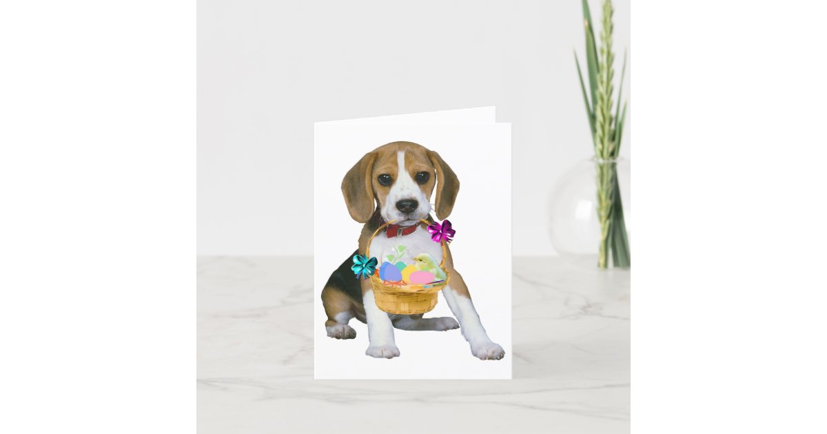 Beagle Easter Holiday Card | Zazzle