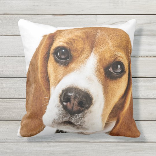 beagle face pillow