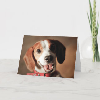 Beagle Freedom Card