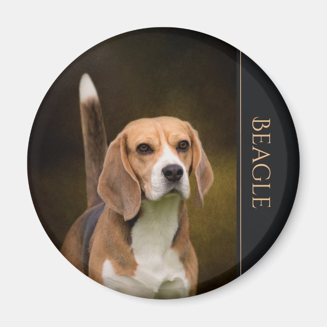 Beagle Fridge Magnet (Front)