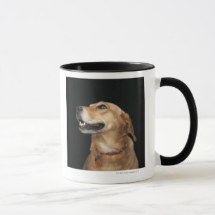 Beagle Golden Lab Mix looking to the side Mug