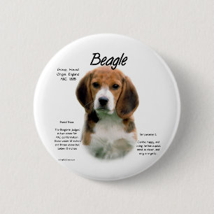 Beagle History; All About Beagles Button