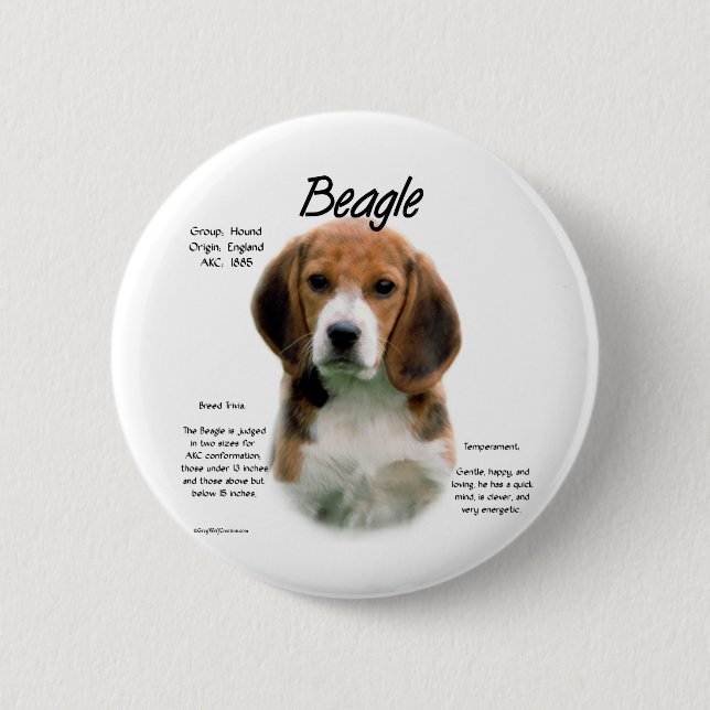 Beagle History; All About Beagles Button (Front)