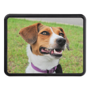 Beagle Hitch Cover