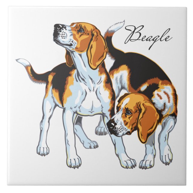 beagle hound ceramic tile (Front)
