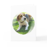 Beagle Hound Dog Greeting Card