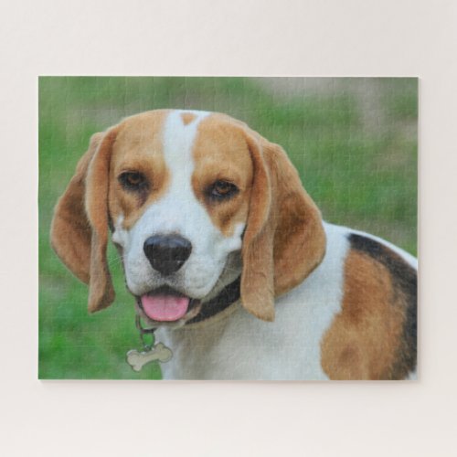 Beagle Hound Dog Jigsaw Puzzle