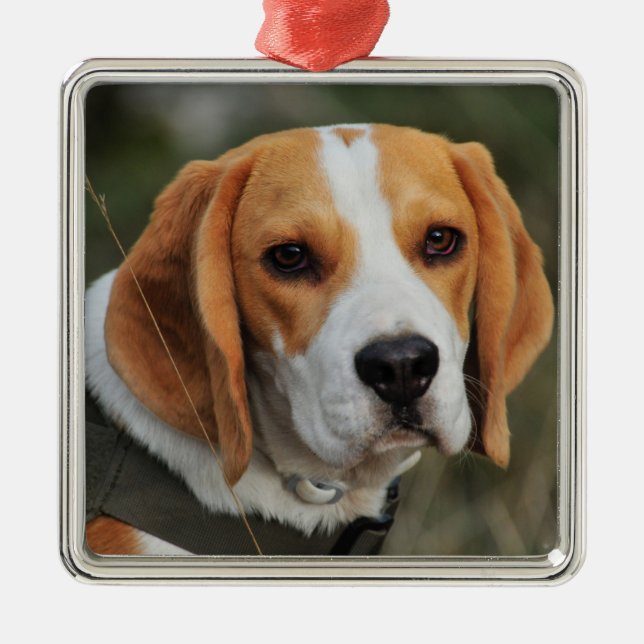 Beagle Hound Dog Metal Ornament (Front)