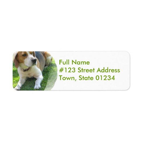 Beagle Hound Dog Return Address Label