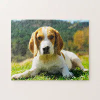 Shaped Puzzle Basset Hound Beagle Terrier Dog Treats Bone 750 Piece  ❤️blt7j2