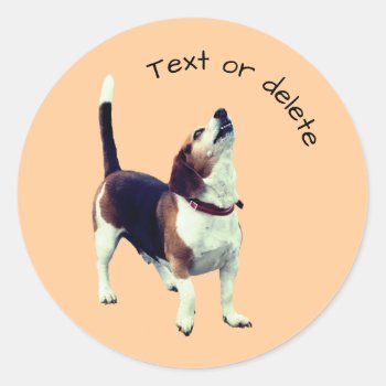 Beagle Howling Dog Personalized Classic Round Sticker by SmilinEyesTreasures at Zazzle
