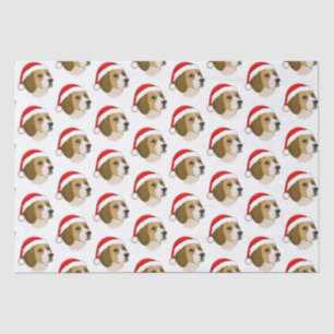 Beagle in a Santa Hat at Christmas Tissue Paper
