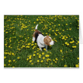 beagle in dandilions.png (Front Horizontal)