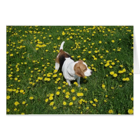 beagle in dandilions.png (Front Horizontal)