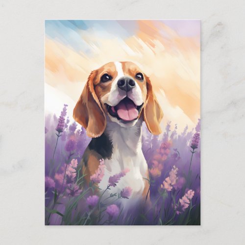 Beagle in Lavender field Postcard